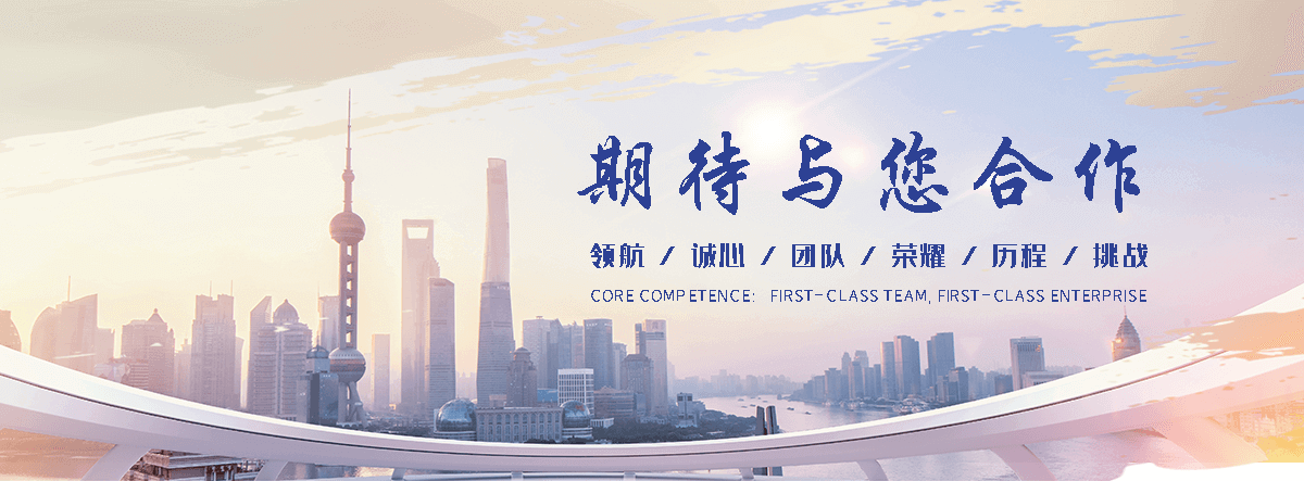 阳新海狮租赁公司